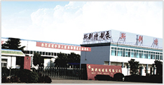��˾����